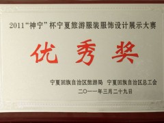 2011年神宁杯宁夏旅游服饰设计展示大赛优秀奖