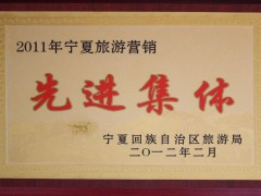 2011年宁夏旅游营销先进集体