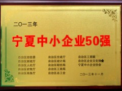 2013年中小企业50强