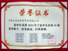 2013年中小企业50强荣誉证书