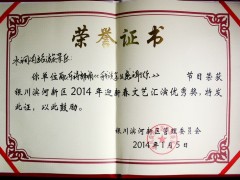 滨河新区迎新晚会文艺汇演优秀奖