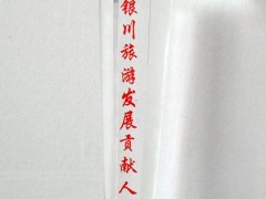 银川旅游发展贡献人物
