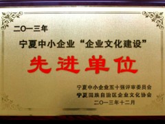 2013年中小企业文化建设先进单位