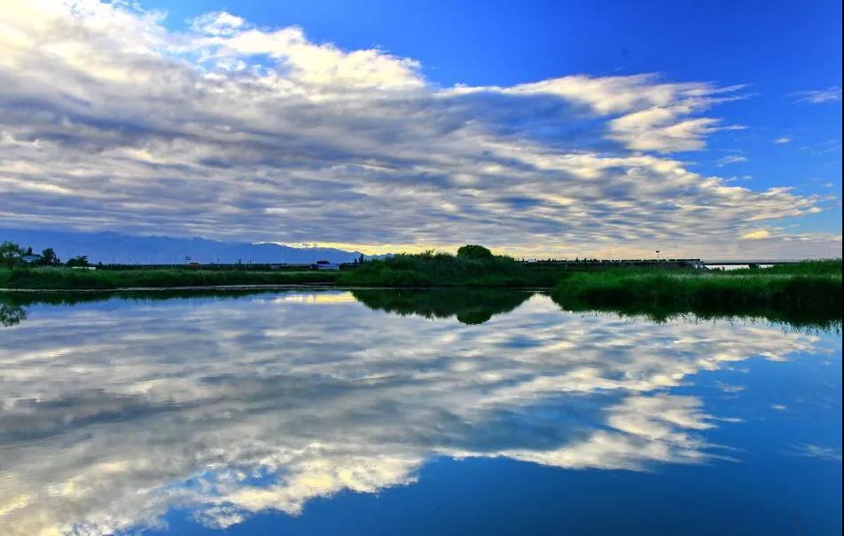 阅海湖,城市绿肺