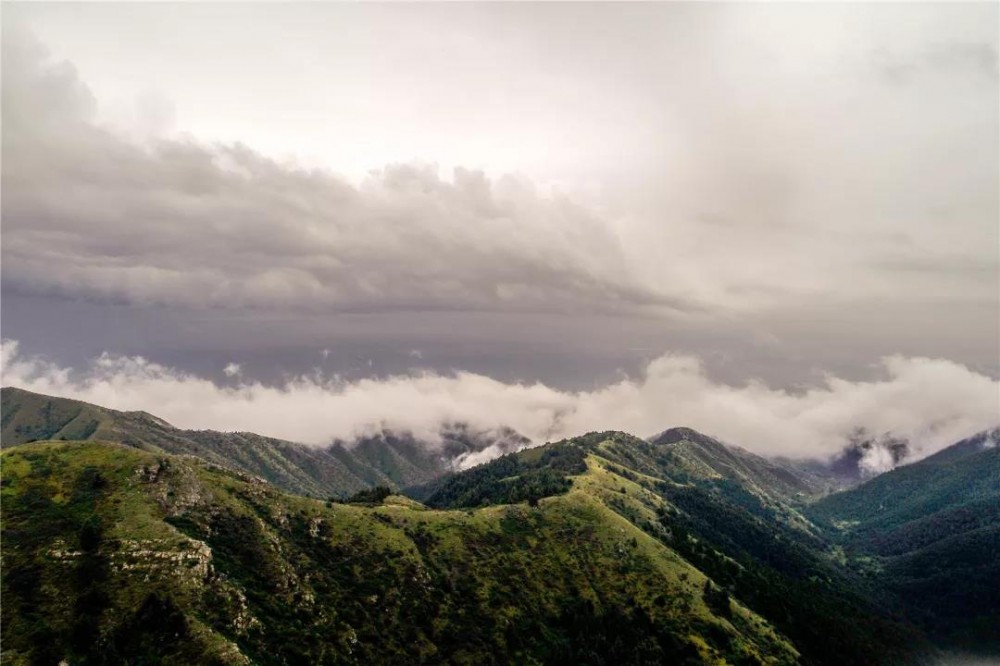 罗山国家级自然保护区,位于宁夏南部同心县.