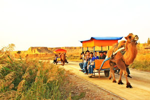 宁夏旅游景点