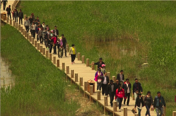 银川旅游景点水洞沟芦花谷人多啊